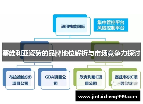 塞维利亚瓷砖的品牌地位解析与市场竞争力探讨