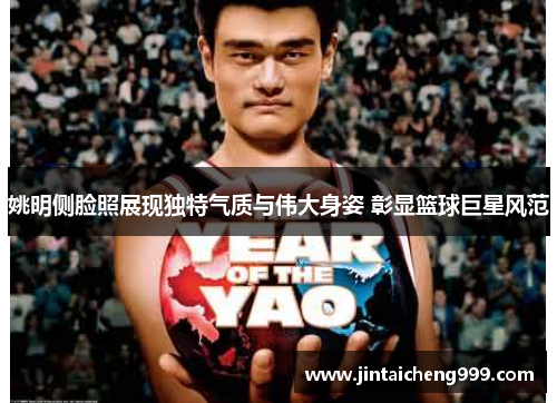 姚明侧脸照展现独特气质与伟大身姿 彰显篮球巨星风范