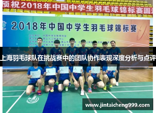 上海羽毛球队在挑战赛中的团队协作表现深度分析与点评