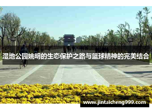 湿地公园姚明的生态保护之路与篮球精神的完美结合